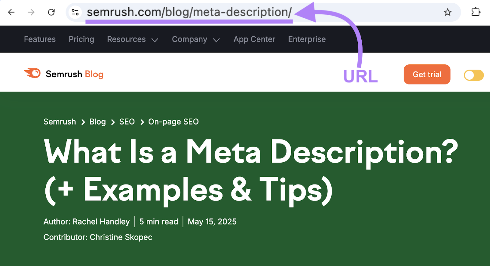 The URL in this example is sr03.amzpro.tools/blog/meta-description.