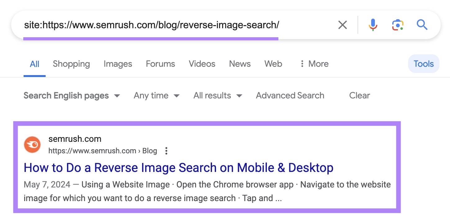site search on Google for a specific page from "sr03.amzpro.tools" with the indexed result highlighted
