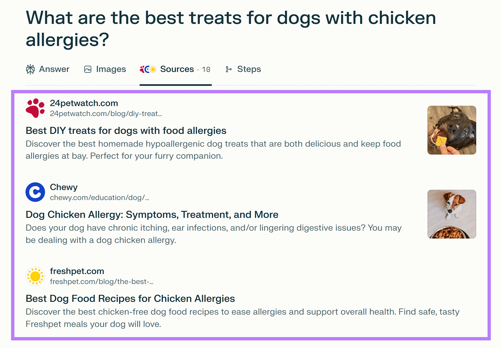 Perplexity dashboard with three highlighted sources about dog treats for dogs with chicken allergies.