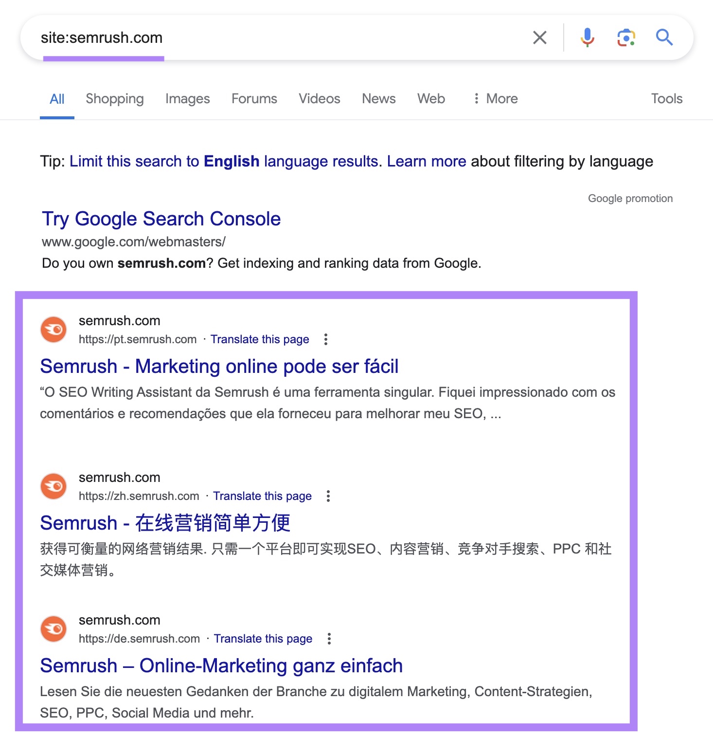 site search for "sr03.amzpro.tools" on Google with the indexed results highlighted