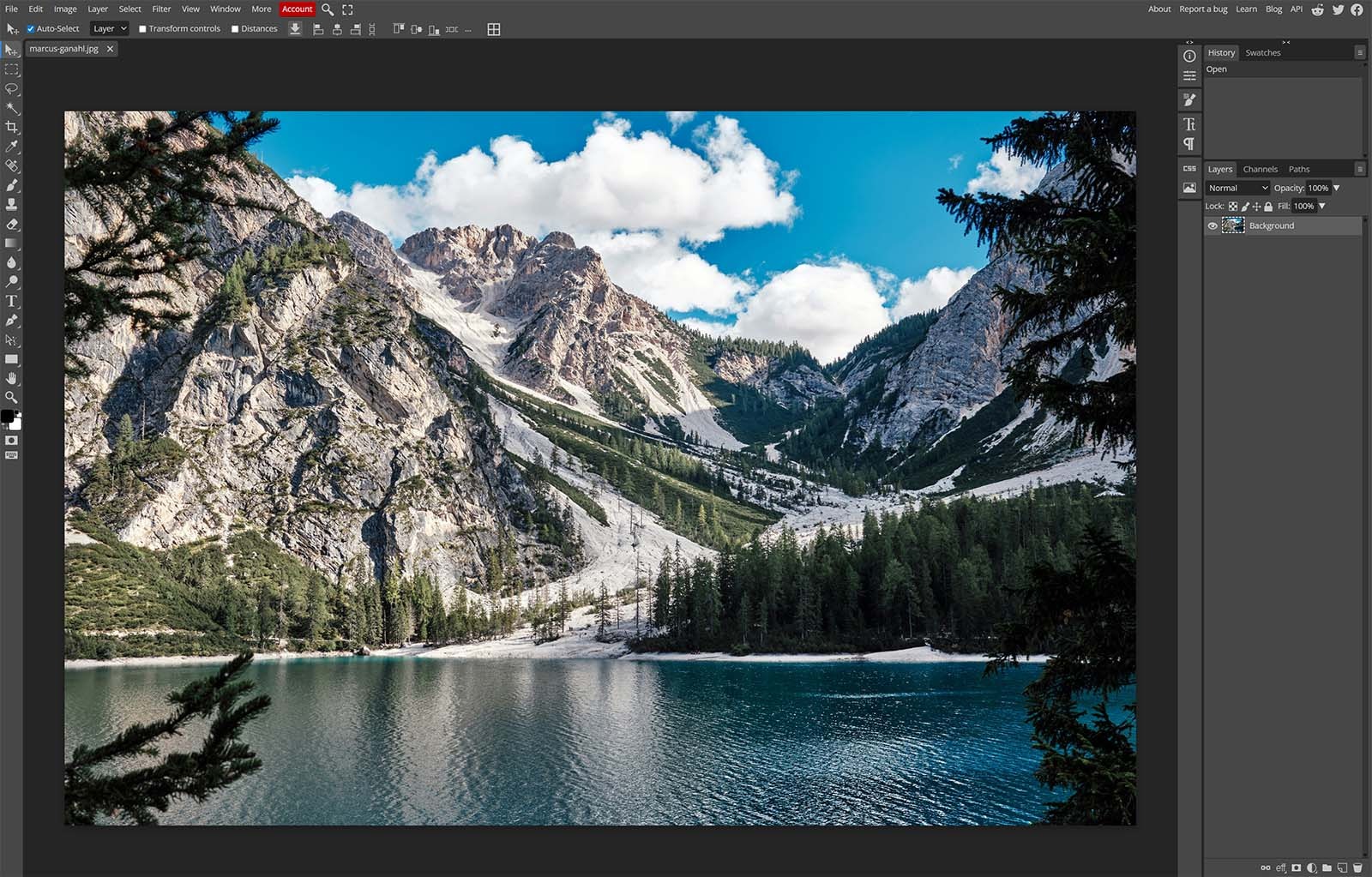 Photopea browser-based editor displaying a photo with layers, toolbar, and editing panels.